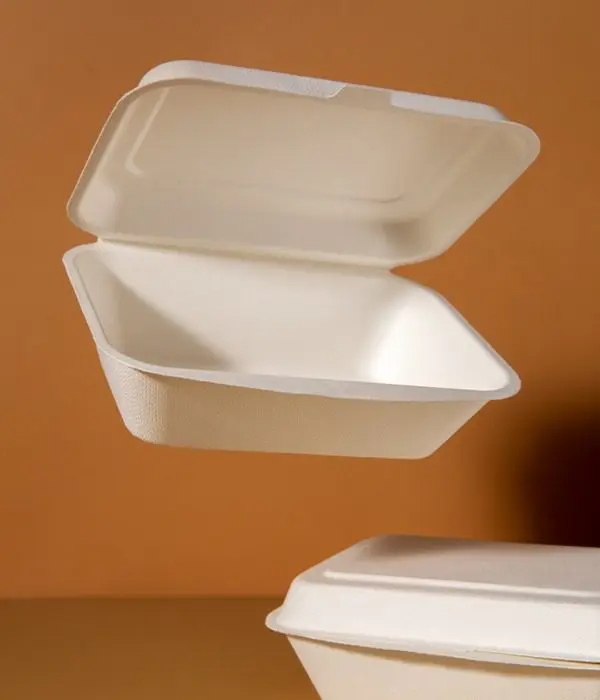 Foam Box