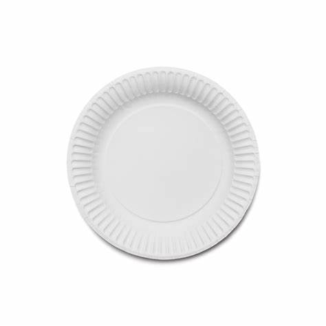 Paper Plate Variant 1