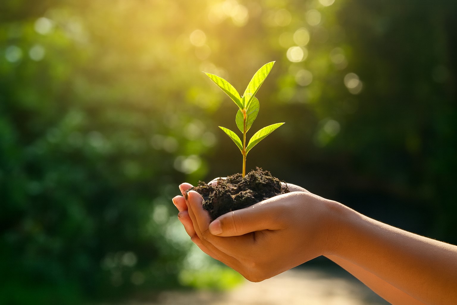 Sustainability